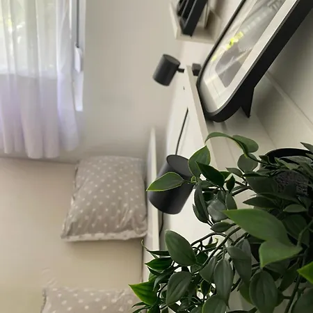Lägenhet Urban Oasis